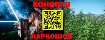 сатива Славгород