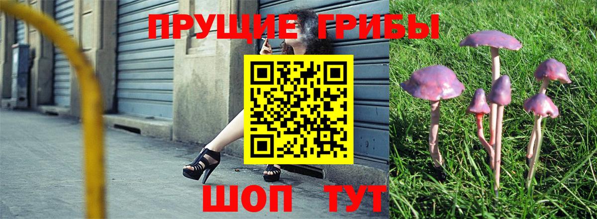 Галлюциногенные грибы GOLDEN TEACHER Надым
