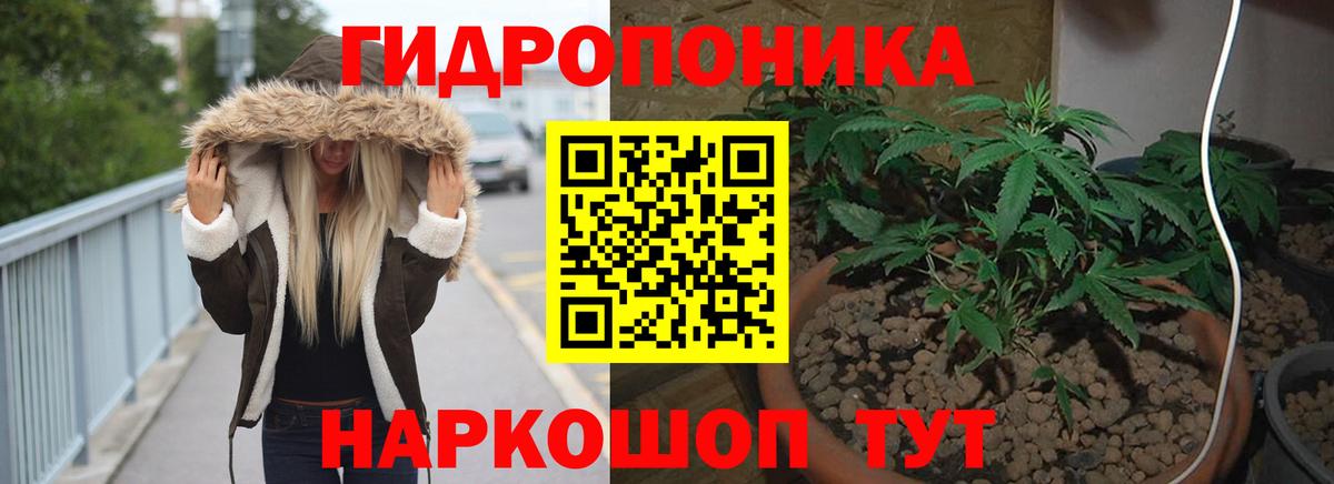 Шишки марихуана конопля Надым
